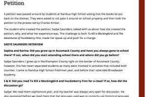 Screenshot of Interview page with Sadye